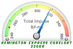Remington Express CoreLokt 220gr